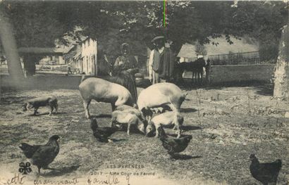 null 44 CARTES POSTALES LES ANIMAUX : Divers. Dont" Cph-Les Pigeons de la Place St...