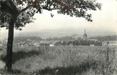 null 125 CARTES POSTALES LORRAINE : Dépts 54-101cp & 57-24cp. Villes, qqs villages,...