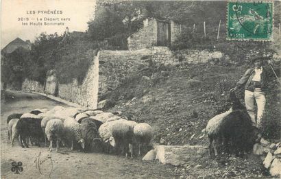 null 19 CARTES POSTALES LES PYRENEES : Scènes, Types & Animaux. Dont" Vaches au bord...