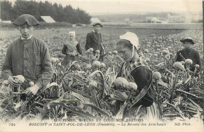 null 17 CARTES POSTALES VIE ET TRAVAIL A LA FERME : Sélection. Dont" Cmcb 529-Roscoff...