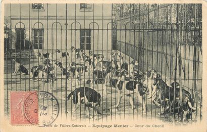 null 53 CARTES POSTALES CHASSE A COURRE : 49cp-Villers Cotterets & 4cp-Diverses....