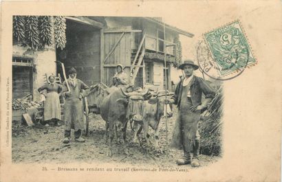 null 28 CARTES POSTALES ATTELAGES : Chien (belge)-1cp, Anes & Chevaux (France)-7cp...