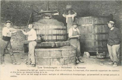 null 19 CARTES POSTALES ALCOOL : Les Pressoirs - En Bourgogne. Dont" Auxerre-Un Pressoir,...