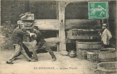 null 19 CARTES POSTALES ALCOOL : Les Pressoirs - En Bourgogne. Dont" Auxerre-Un Pressoir,...