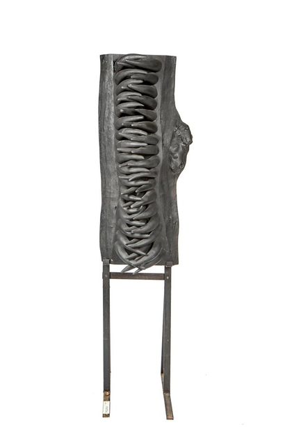 null Luc MERTENS (1913-2004).
Hécatombes. 
Orme et cornes peints en noir, reposant...
