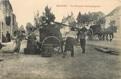 null 7 CARTES POSTALES ALCOOL : Sélection. "Aloxe Corton (attelage à cheval près...