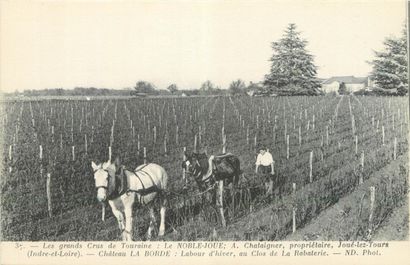 null 7 CARTES POSTALES ALCOOL : Sélection. "Aloxe Corton (attelage à cheval près...