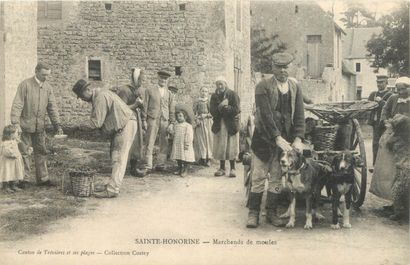 null 1 CARTE POSTALE ATTELAGE A CHIENS : Sélection Calvados. "Sainte Honorine - Marchands...