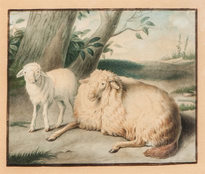 null Jean-Baptiste HUET (1745-1811) (d'après). 
Mouton et son petit.
Aquarelle, encre,...