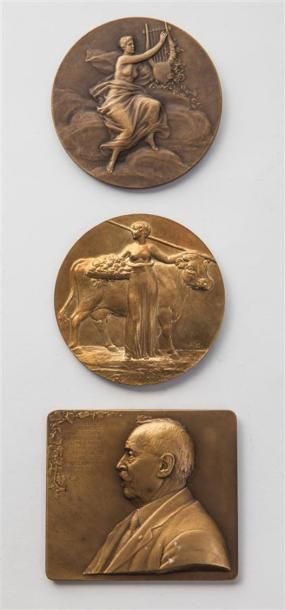 null 3 Plaque et Médailles bronze - Association Léopold Bellan.
1-Plaque représentant...