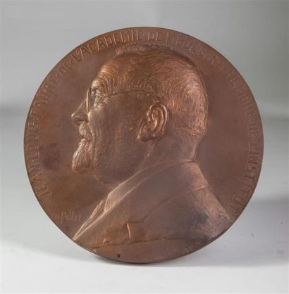 null 5 Plaques, Galvano et 1 Médaille - Médecine - Professeur Jean Louis Faure (1863-1944).
1...