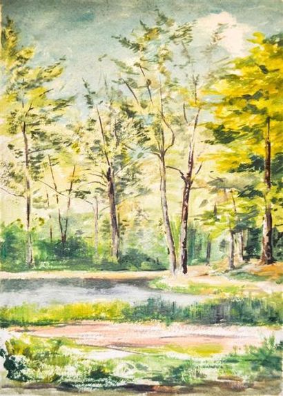 null LANGLOIS Saint-Edme (1861-?).
Paysages en forêt.
Suite de cinq aquarelles sur...