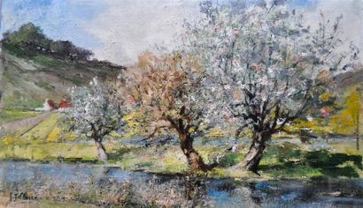 null CLAIR Auguste-jean (1881-1970).
Cerisiers en fleurs à saint Ceneri-le-Gerei.
Huile...