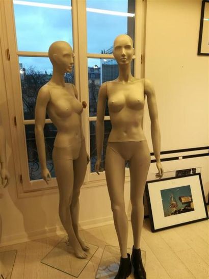 null 2 mannequins femme en plastique gris

Enlèvement sans dommage pour l'immeuble,...