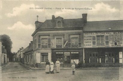 null 101 CARTES POSTALES SARTHE : Villes, qqs villages, qqs animations, qqs sites,...