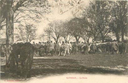 null 31 CARTES POSTALES FOIRES & MARCHES : Animaux - Ouest. Dont" Cholet-Marché aux...