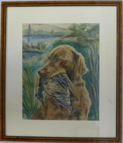 null BOUTTAZ J. (XXème siècle).
Chien attrapant son gibier. 
Pastel, signé en bas...