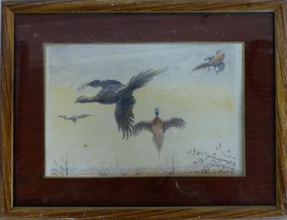 null ANDRIEUX Alfred Louis (1878-1945).
Scène d'oiseaux en vol.
Aquarelle sur papier....