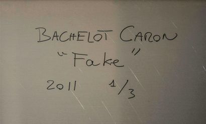 null BACHELOT & CARON
"Fake"
Tableau photographique, titré, daté 2011 et numéroté...