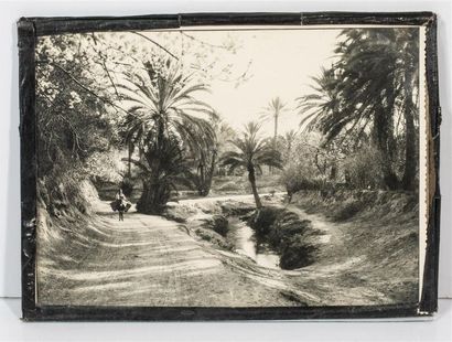 null Lot de photographies.
- palais des arts décoratifs. 7,5 x 11,5
- Quatre vues...