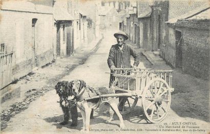 null 8 CARTES POSTALES ATTELAGES A CHIENS : France. "39-Ault Onival-Un Marchand de...