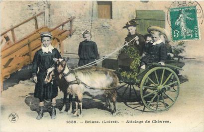 null 5 CARTES POSTALES LOIRET : Sélection Diverses. "1889-Briare-Attealge de Chèvres...
