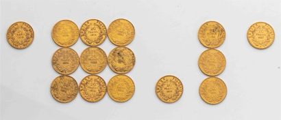 null 15 Pièces de 20 Francs Or, dont 14 Napoléon III, Tête nue : 1854 x 9, 1855,...