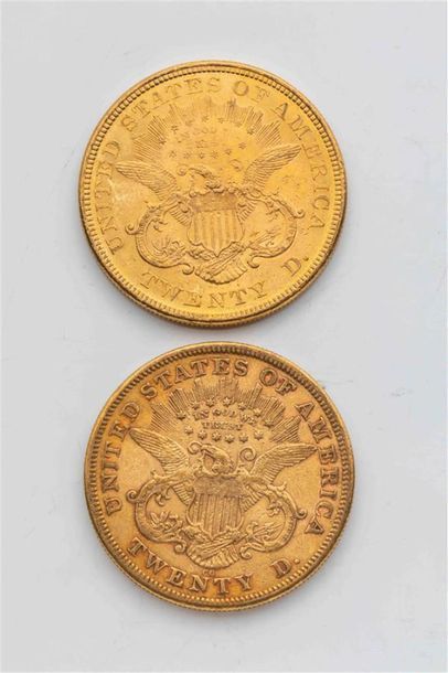 null 2 pièces Etats Unis, 20 dollars Liberté. 1876.
A/ Tête de la Liberté à gauche...