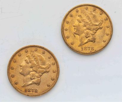 null 2 pièces Etats Unis, 20 dollars Liberté. 1878.
A/ Tête de la Liberté à gauche...