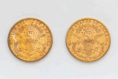 null 2 pièces Etats Unis, 20 dollars Liberté. 1883.
A/ Tête de la Liberté à gauche...