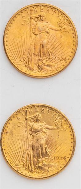 null 2 pièces Etats Unis, 20 dollars Saint Gaudens. 1924.
A/ La Liberté sur un soleil...