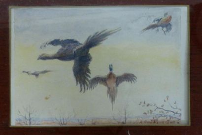 null ANDRIEUX Alfred Louis (1878-1945)
Scène d'oiseaux en vol
Aquarelle sur papier....