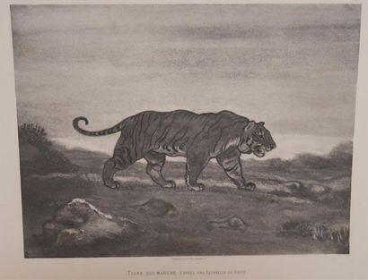 null BARYE Louis-Antoine (1796-1875) d'après
Lion roulant et tigre qui marche 
Deux...