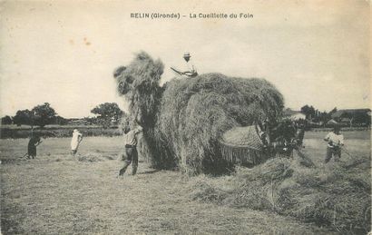 null 17 CARTES POSTALES AGRICULTURE : Petite Sélection. Dont" Belin-La Cueillette...