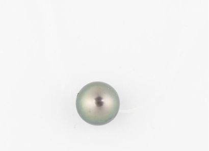 null PERLE de THAITI
Collier en nylon et fermoir argent
Diam. perle : 8,4 mm
Long....