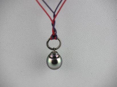 null PERLE de TAHITI
Collier à double cordon violet et rouge
Diam. perle : 10.8 mm
Long....