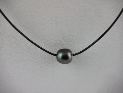 null PERLE de TAHITI
Collier cordon en cuir noir à noeuds coulissants
Diam. perle...