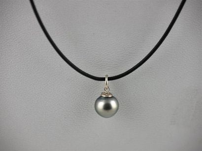 null PERLE de TAHITI 
Collier cuir noir et fermoir argent
Diam. perle : 10 mm
Long....