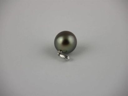 null PERLE de TAHITI
Pendentif monture en or blanc 18K
Diam. perle : 12,3 mm
Poids...