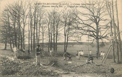 null 52 CARTES POSTALES LES COLONIES : Pénitentiaires - France. Dont" Auberive-Pupilles...