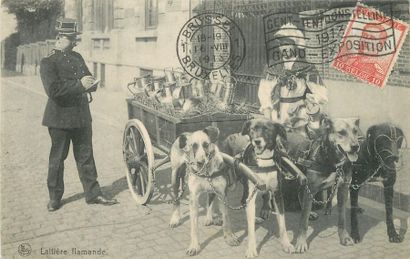 null 22 CARTES POSTALES ATTELAGES A CHIEN(S) : France : Pontarlier-La Fontaine intermittente...