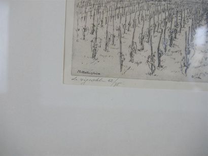 null École XXème 
Le vignoble à Mittetbergheim 
Gravure sur papier sous verre 
Titrée,...