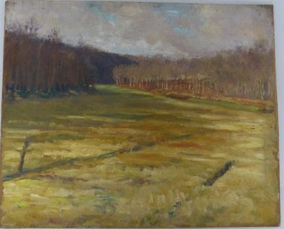 null ANDRIEUX Alfred Louis (1878-1945).
Paysage.
Huile sur panneau.
37,5 x 46 cm...