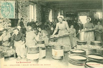 null METIERS : Féminin - Sélection. "166-Castres-Types du Midi-Ouvrières Caneteuses,...