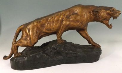 Thomas CARTIER (1879-1943) Lionne rugissante. Epreuve en bronze à double patine....