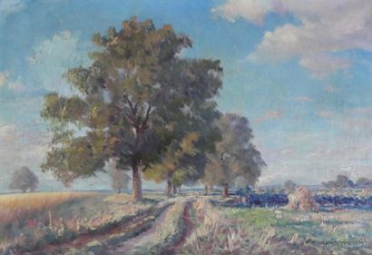 null Pierre BONNEROT (1891-1981)

Chemin de campagne bordé d'arbres

Huile sur toile

Signé...