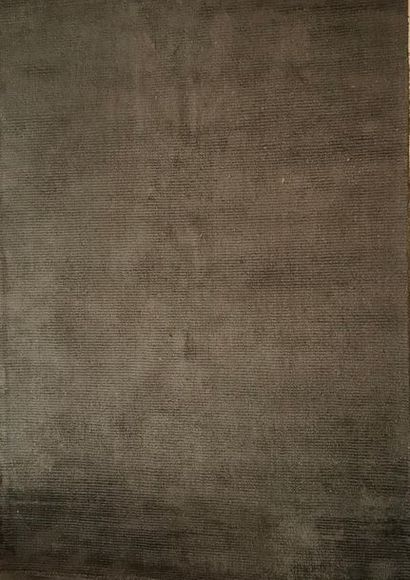 null Maison NOBILIS
Tapis FILO en coton laine et viscose tuffté gris
242 x 172 cm
État...
