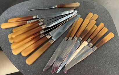 12 grands couteaux, 10 couteaux à fruit,...