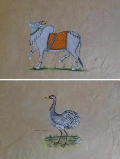 Indes INDES 
Deux miniatures à la gouache sur papier représentant des animaux
22...
