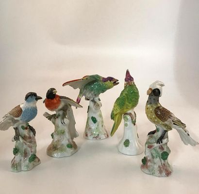 Manufacture de MEISSEN - ALLEMAGNE< Manufacture de MEISSEN - ALLEMAGNE
5 oiseaux...